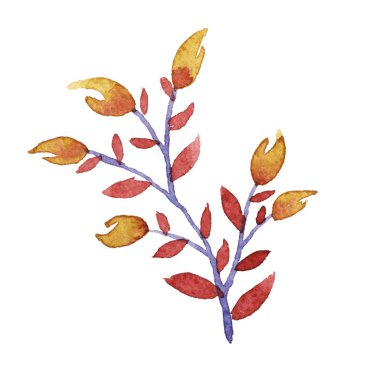 Suluboya çiçek vektör set.