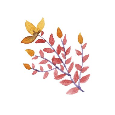 Suluboya çiçek vektör set.