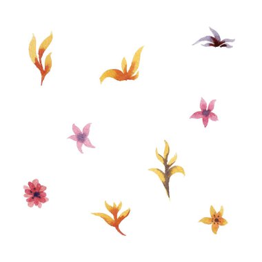 Suluboya çiçek vektör set.