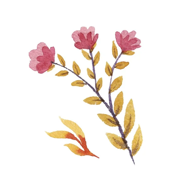 Ensemble vecteur floral aquarelle . — Image vectorielle