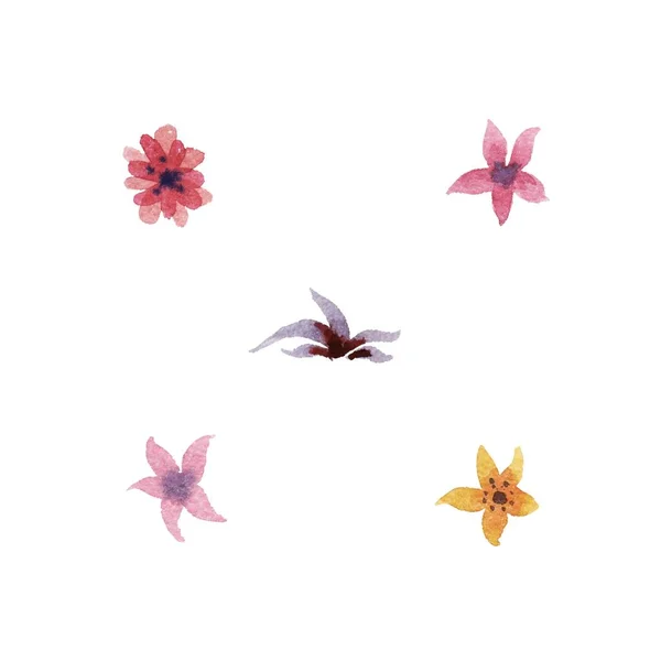 Ensemble vecteur floral aquarelle . — Image vectorielle
