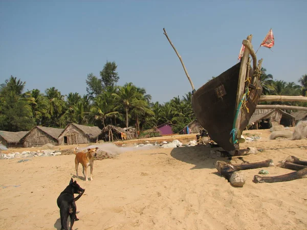 समुद्र तट के किनारे पंक्तिबद्ध मछली पकड़ने वाली नावें। भारत, कर्नाटक — स्टॉक फ़ोटो, इमेज