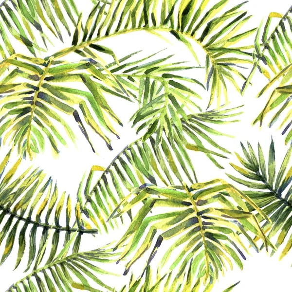 Tropical Background. watercolor tropical leaves and plants. Hand painted jungle greenery background