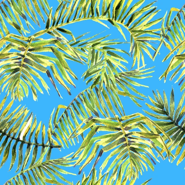 Contexte tropical. aquarelle feuilles tropicales et plantes. Fond vert jungle peint à la main — Photo