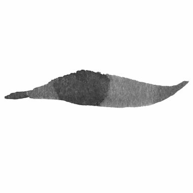 Grunge fırça konturu seti