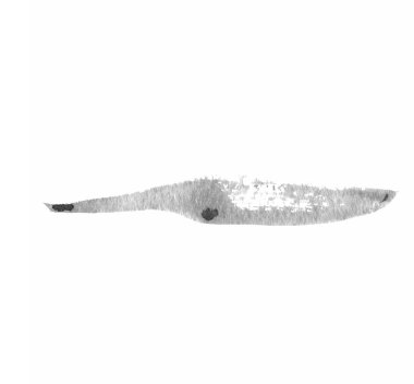 Grunge fırça konturu seti