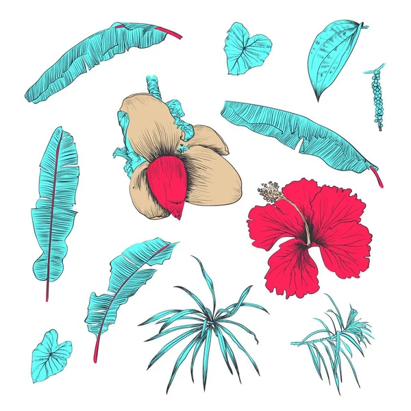 Dessiné à la main de plantes tropicales et de fleurs — Image vectorielle