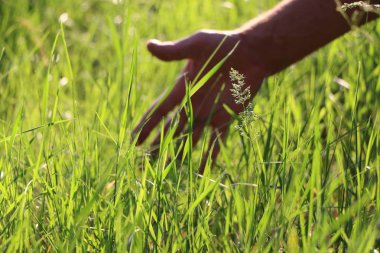 Sağ elini çim dokunuyor