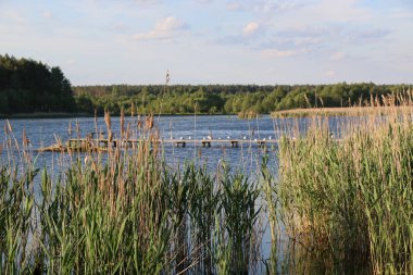 Bir sürü martı indi vardır