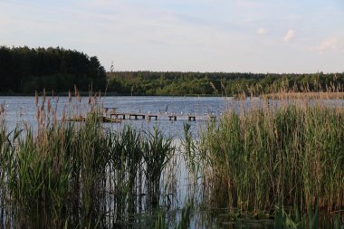 Bir sürü martı indi vardır