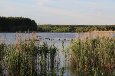 Bir sürü martı indi vardır