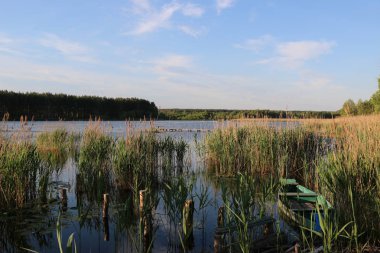 Bir sürü martı indi vardır