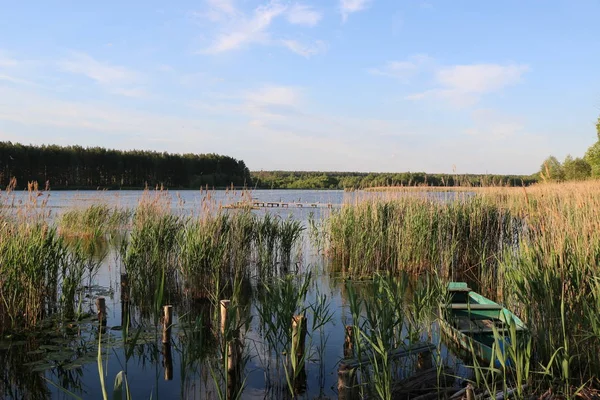 Bir sürü martı indi vardır
