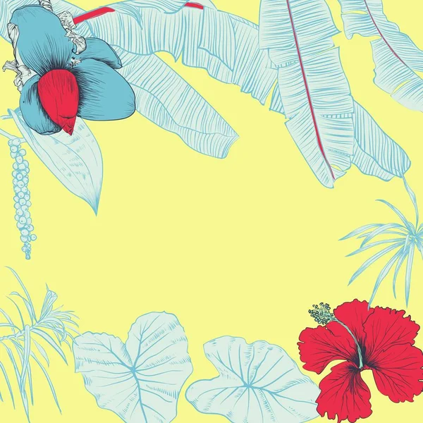 Kézzel rajzolt virág és trópusi növények banánlevél — Stock Vector