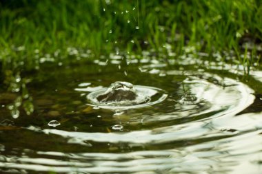 Su birikintisi ve daireler düşen yağmur su
