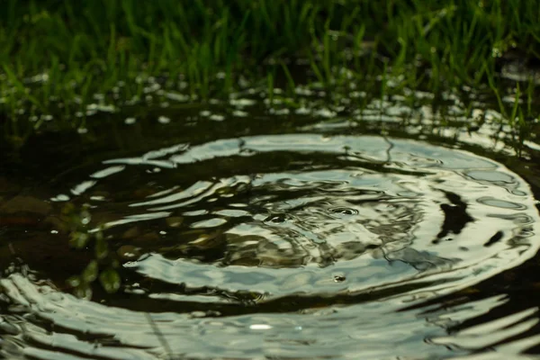 Pluie tombant dans la flaque et cercles sur l'eau — Photo