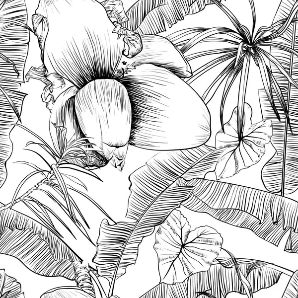 Bezproblémové tropické vzorek s banánovníky. Vektorové ilustrace. Omalovánky — Stockový vektor