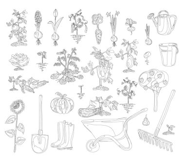 vektör boyama kitabı Bahçe seti