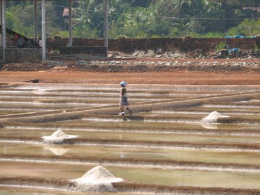 tuz çıkarımı Gıda Sanayi Hindistan tuz