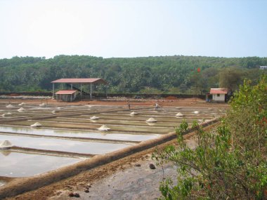 tuz çıkarımı Gıda Sanayi Hindistan tuz
