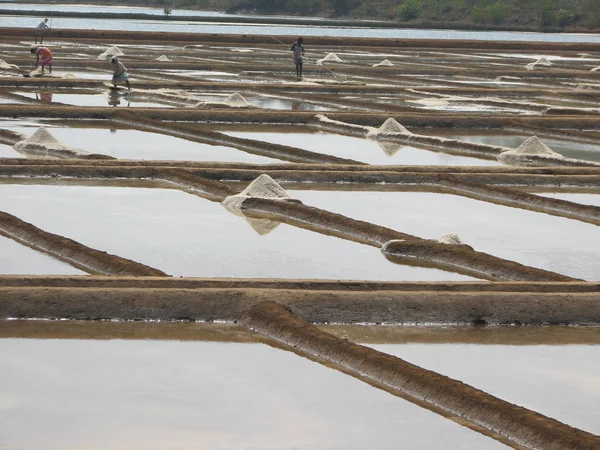 Sal sal extração indústria alimentar Índia — Fotografia de Stock