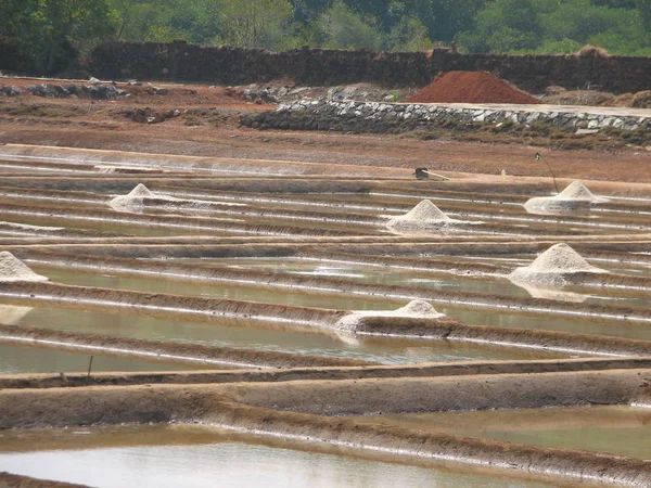 salt salt extraction food industry India