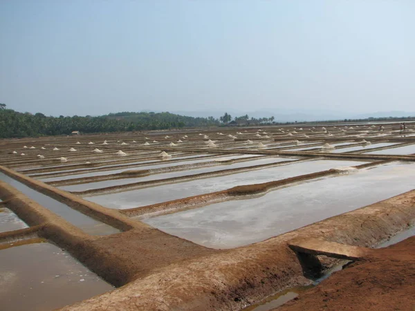 salt salt extraction food industry India