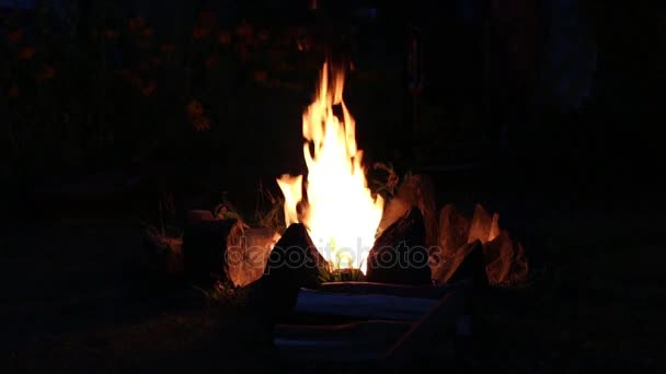 Feu de camp brûlant la nuit — Video