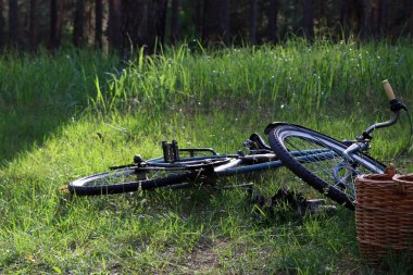 Yeşil coniferousforest arka plan üzerinde Vintage Bisiklet