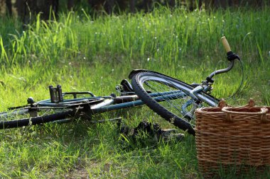 Yeşil coniferousforest arka plan üzerinde Vintage Bisiklet