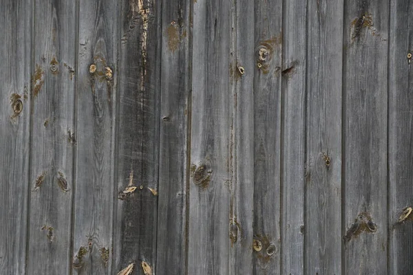 Wood texture. Lining boards wall. — Stock Photo, Image