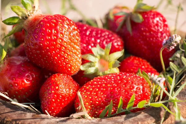 Vieux bol en bois rempli de fraises rouges mûres juteuses fraîches sur une vieille pierre — Photo