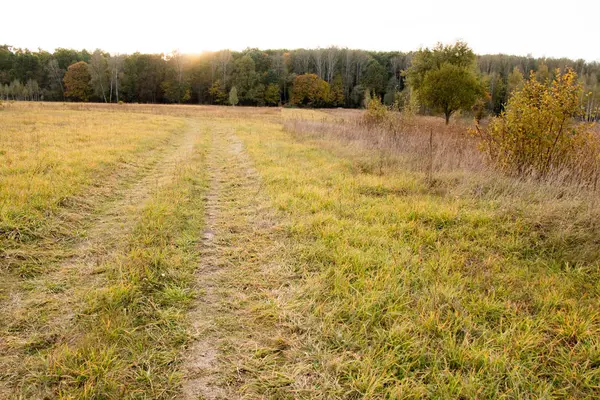 Jesienny krajobraz. Ciemne chmury nad jesień las. Pożółkłych traw w polu. — Zdjęcie stockowe