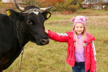 Güzel küçük bir kız siyah inek zincirinde yakınındaki çayır üzerinde duruyor.
