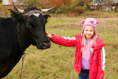 Güzel küçük bir kız siyah inek zincirinde yakınındaki çayır üzerinde duruyor.