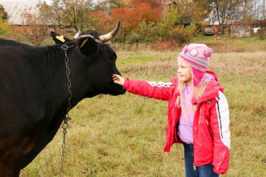 Güzel küçük bir kız siyah inek zincirinde yakınındaki çayır üzerinde duruyor.