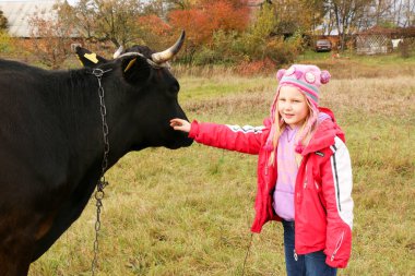 Güzel küçük bir kız siyah inek zincirinde yakınındaki çayır üzerinde duruyor.