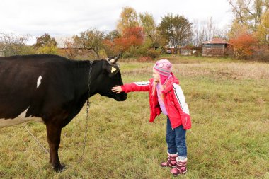 Güzel küçük bir kız siyah inek zincirinde yakınındaki çayır üzerinde duruyor.
