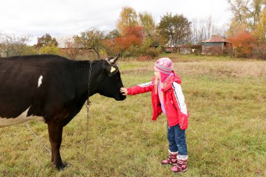 Güzel küçük bir kız siyah inek zincirinde yakınındaki çayır üzerinde duruyor.