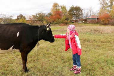 Güzel küçük bir kız siyah inek zincirinde yakınındaki çayır üzerinde duruyor.