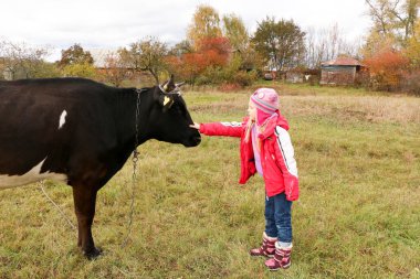 Güzel küçük bir kız siyah inek zincirinde yakınındaki çayır üzerinde duruyor.