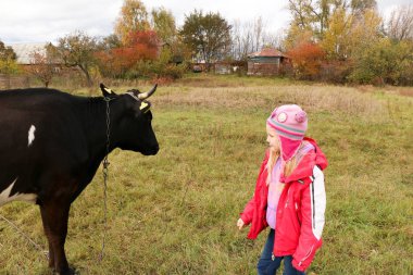 Güzel küçük bir kız siyah inek zincirinde yakınındaki çayır üzerinde duruyor.