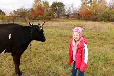 Güzel küçük bir kız siyah inek zincirinde yakınındaki çayır üzerinde duruyor.