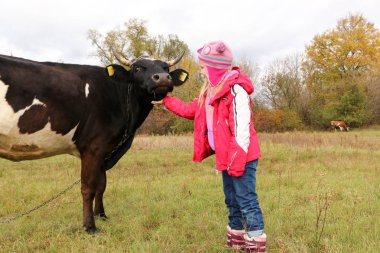 Güzel küçük bir kız siyah inek zincirinde yakınındaki çayır üzerinde duruyor.