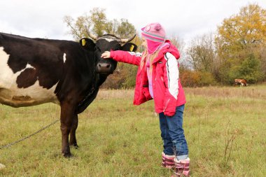 Güzel küçük bir kız siyah inek zincirinde yakınındaki çayır üzerinde duruyor.