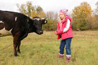 Güzel küçük bir kız siyah inek zincirinde yakınındaki çayır üzerinde duruyor.