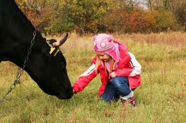 Güzel küçük bir kız siyah inek zincirinde yakınındaki çayır üzerinde duruyor.