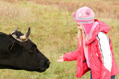 Güzel küçük bir kız siyah inek zincirinde yakınındaki çayır üzerinde duruyor.