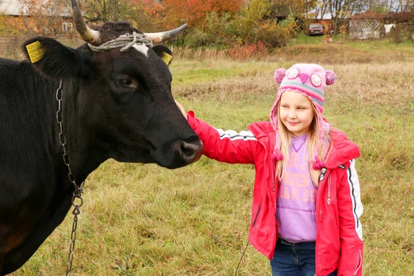 Belle petite fille se tient sur la prairie près de vache noire sur la chaîne . — Photo