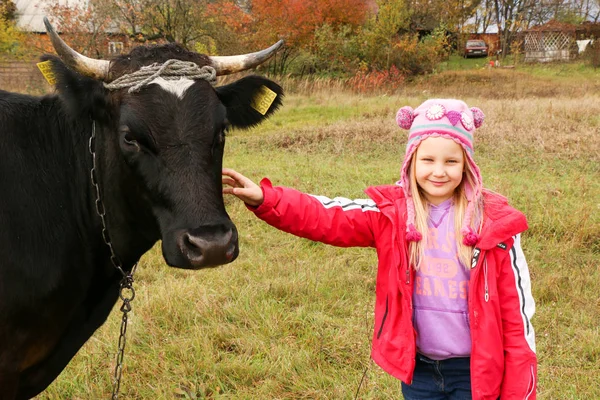 Güzel küçük bir kız siyah inek zincirinde yakınındaki çayır üzerinde duruyor.
